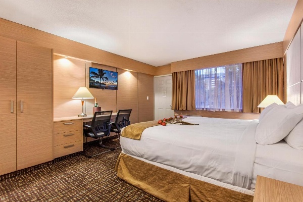 Ocean Beach Palace Main image